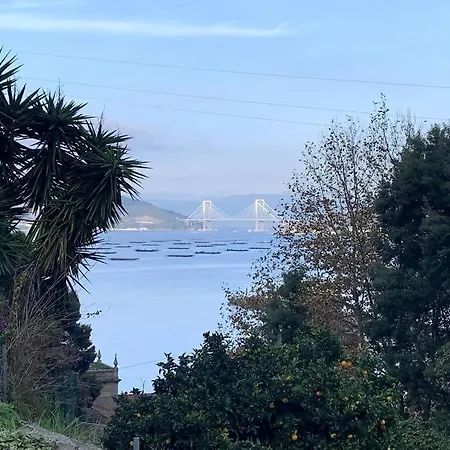 Veronica En A Guia Galicia * Vigo