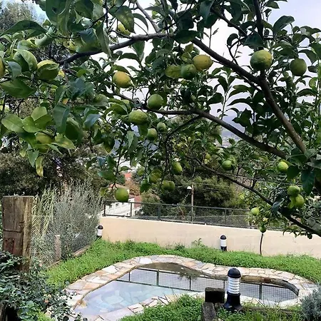 Veronica En A Guia Galicia *