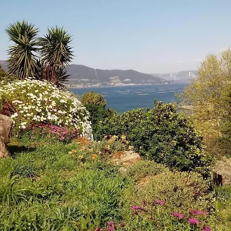Veronica En A Guia Galicia Vigo